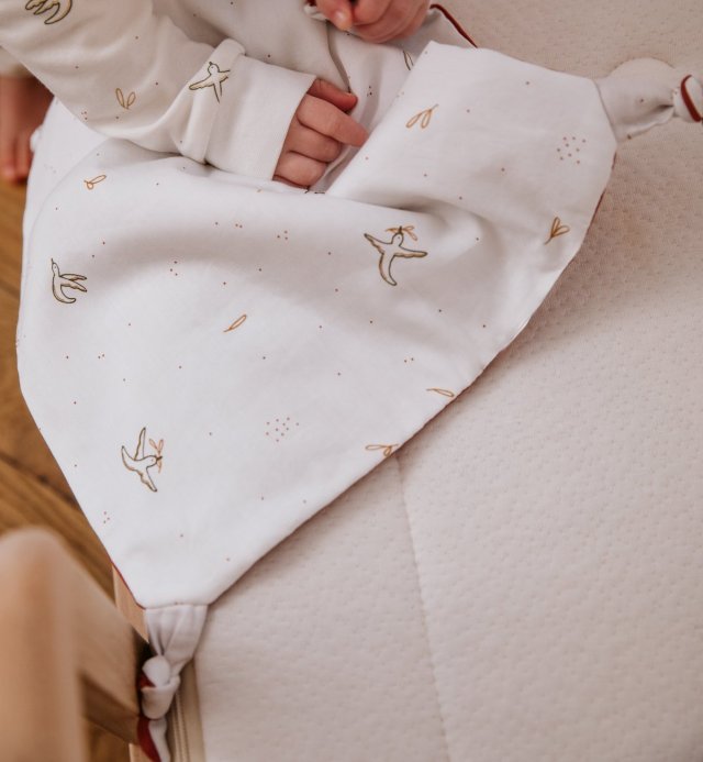 Doudou en Coton Bio Certifié Oeko-Tex - Motif l'Envolée